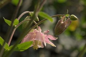 dsc_256973.jpg