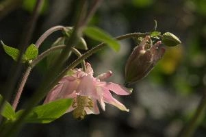 dsc_256976.jpg