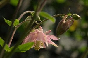 dsc_256977.jpg