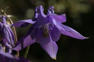 dsc_260428.jpg