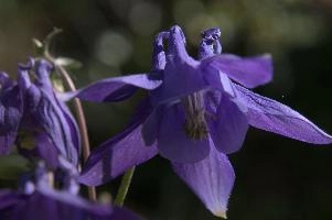 dsc_260430.jpg