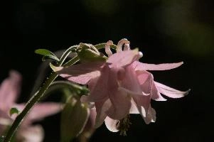 dsc_260444.jpg