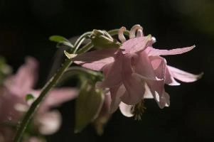 dsc_260446.jpg
