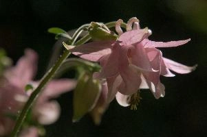 dsc_260447.jpg