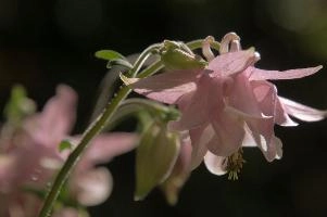 dsc_260448.jpg