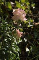 dsc_260458.jpg