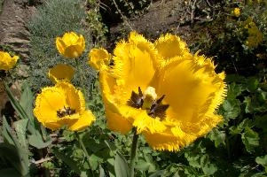 dsd_006164.jpg