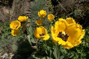 dsd_006174.jpg