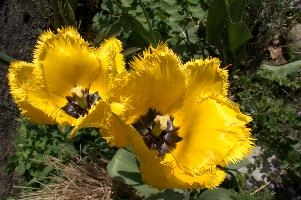 dsd_006224.jpg