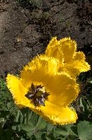 dsd_006230.jpg