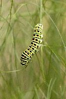 dse_016625_6066523_2022_08_20_14_35_09_82_01_00.jpg