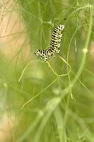 dse_016628_6066523_2022_08_20_14_41_18_36_01_00.jpg