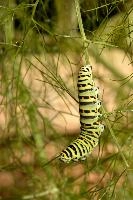 dse_016737_6066523_2022_08_21_10_38_55_97_01_00.jpg