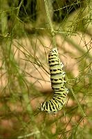 dse_016741_6066523_2022_08_21_10_39_04_87_01_00.jpg
