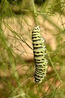 dse_016742_6066523_2022_08_21_10_39_09_30_01_00.jpg