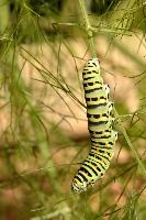 dse_016743_6066523_2022_08_21_10_39_11_97_01_00.jpg