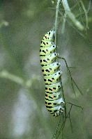 dse_016945_6066523_2022_08_25_19_22_38_86_01_00.jpg