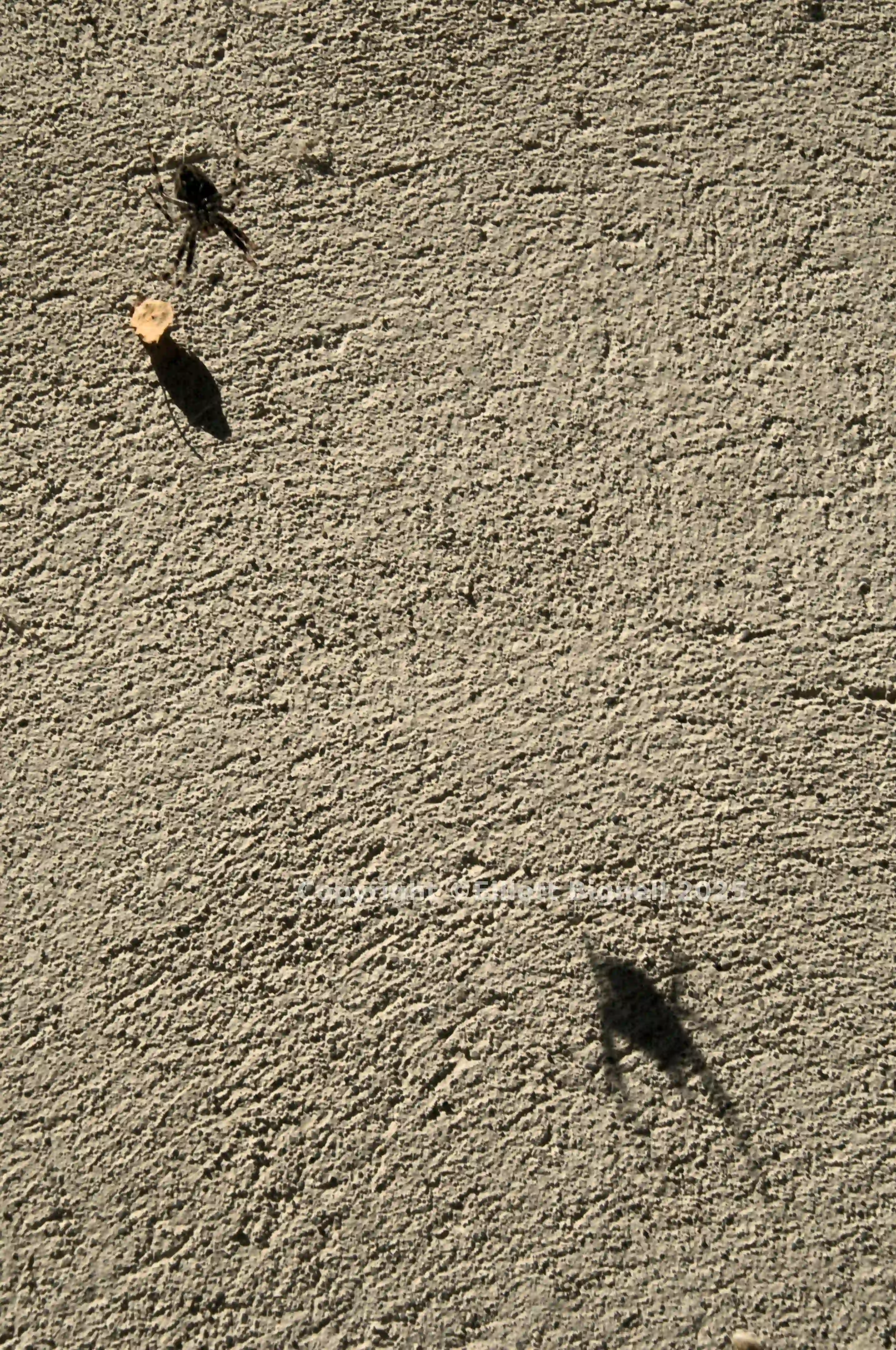 dsc_222614.jpg