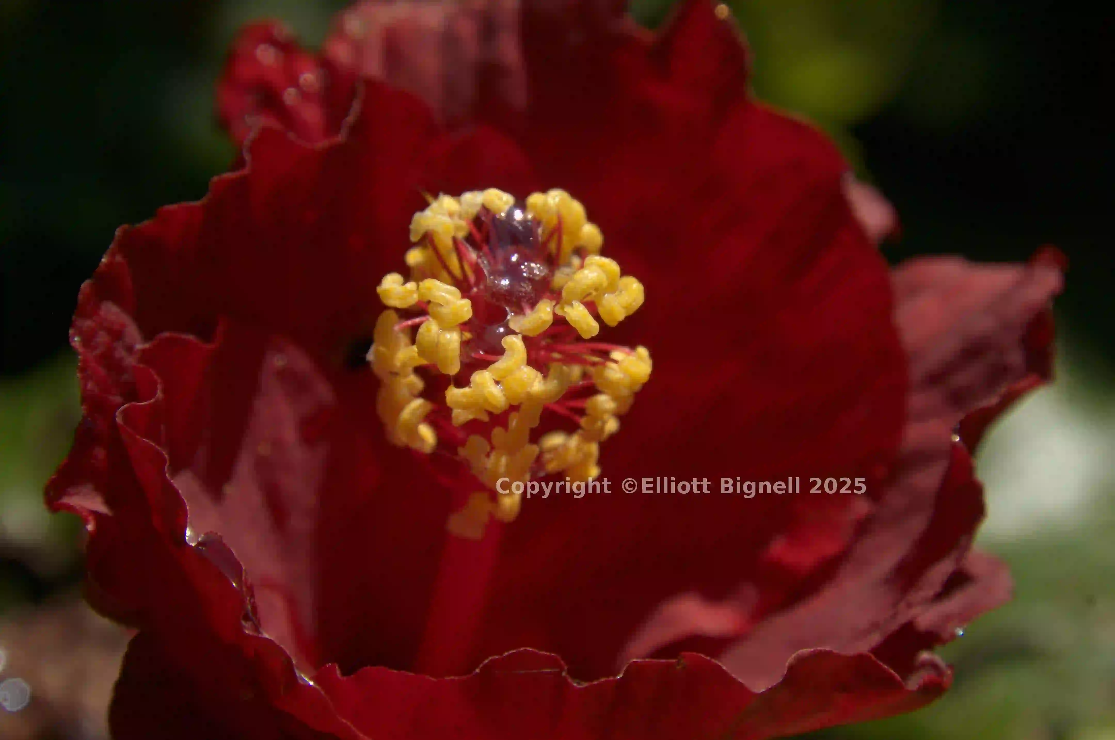 dsc_280314.jpg