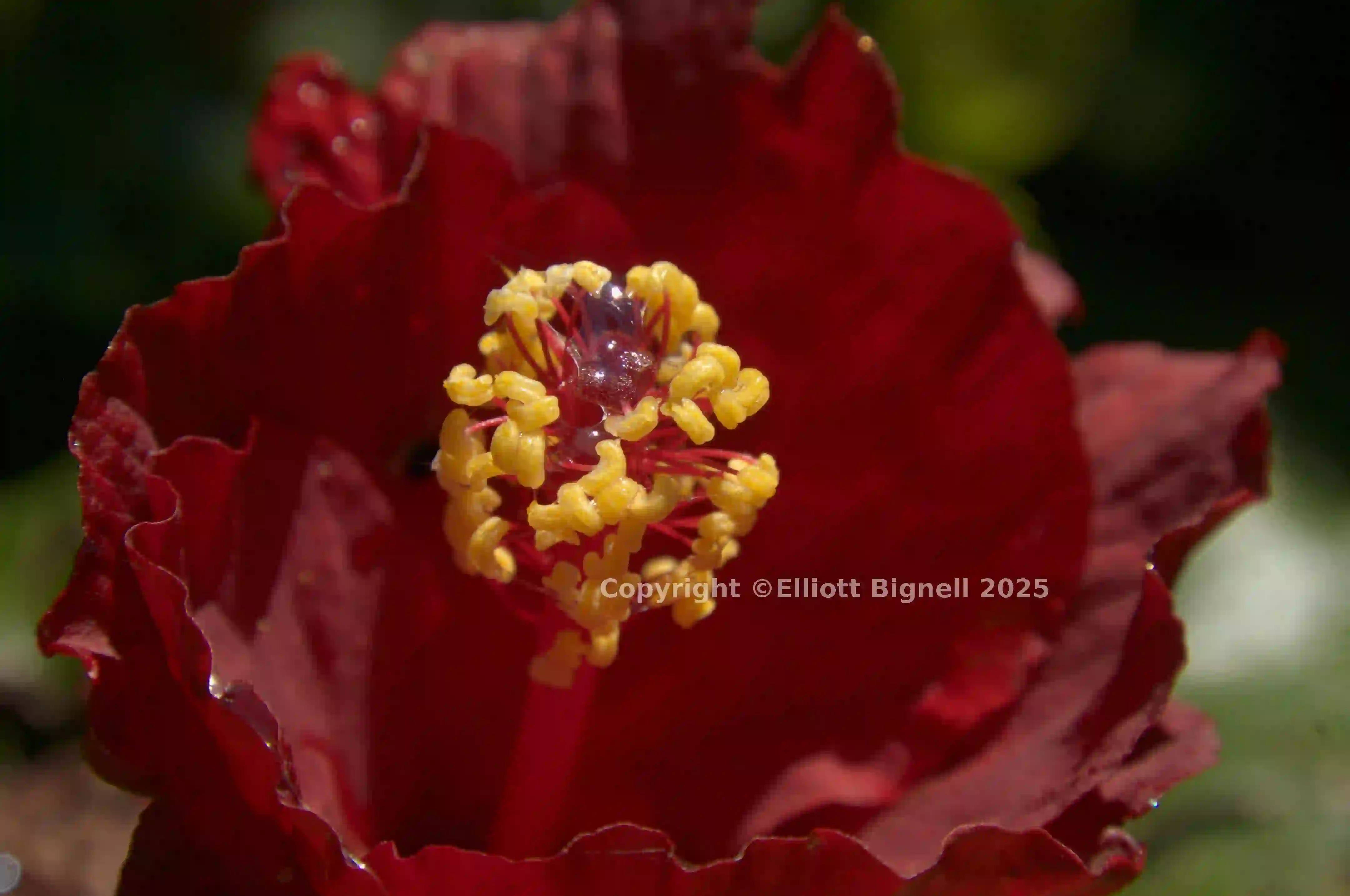 dsc_280316.jpg