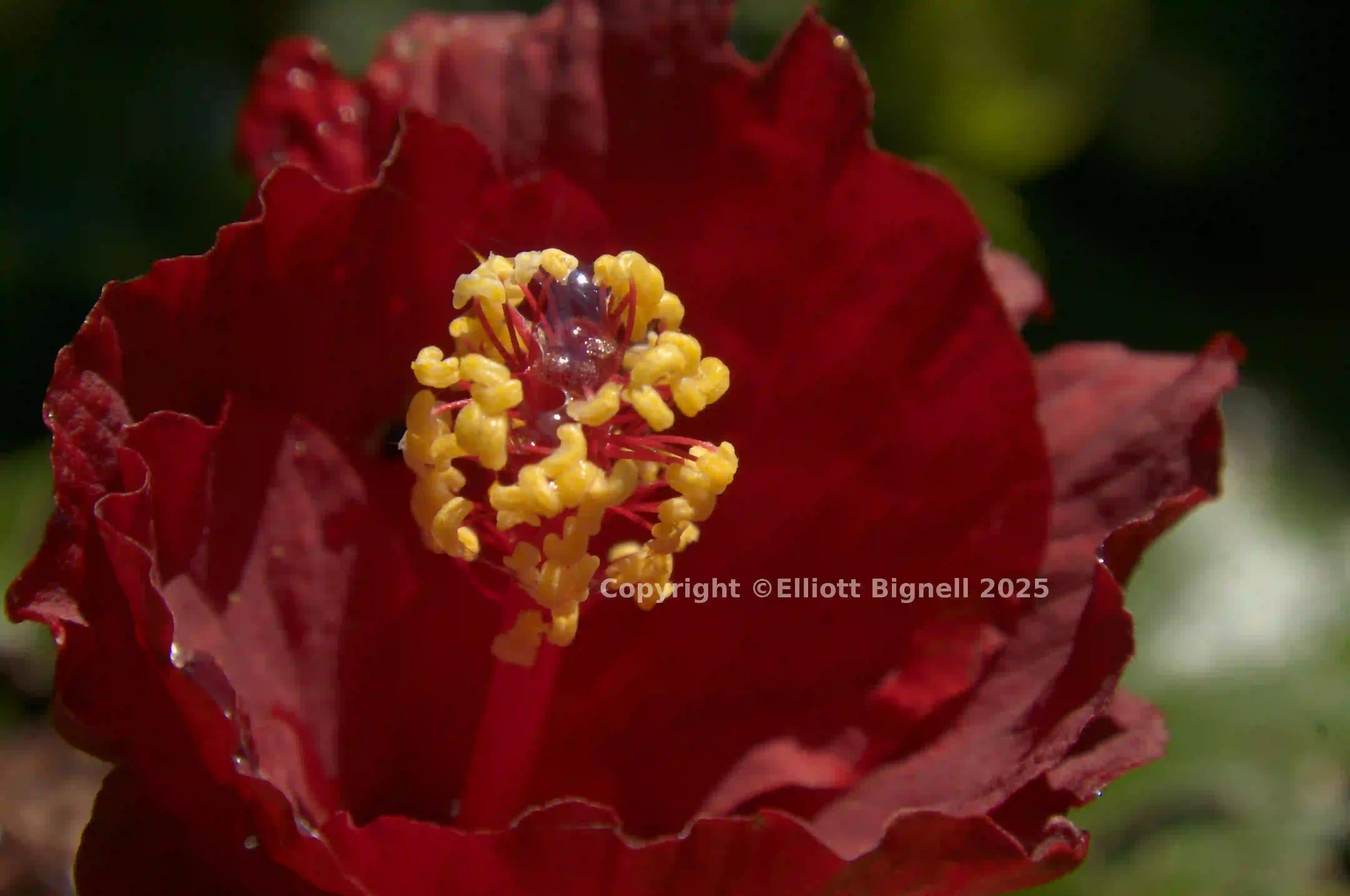dsc_280319.jpg