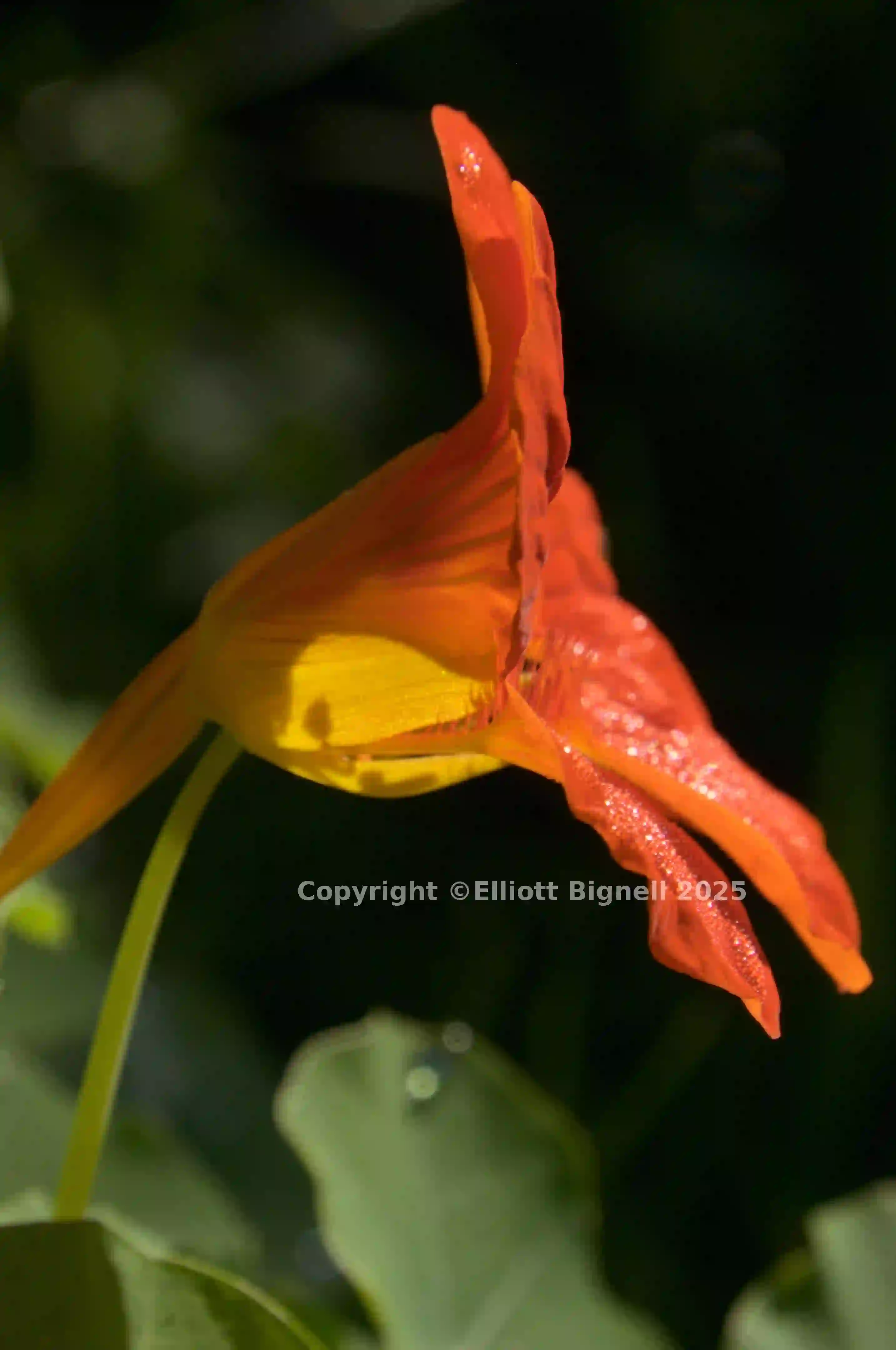 dsc_280326.jpg