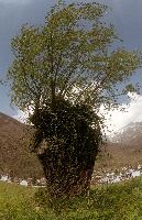 dse_009940-dse_009943_6066523_2021_04_15_13_40_06_99_02_00.jpg