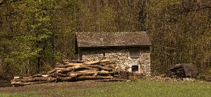 Barn and logs in Ticino, Switzerland, rustic, stone, building, barn, field, meadow, piled, italian, timber, ticino, lumber, switzerland, logs, europe, rural