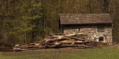 Barn and logs in Ticino, Switzerland, rustic, stone, building, barn, field, meadow, piled, italian, timber, ticino, lumber, switzerland, logs, europe, rural