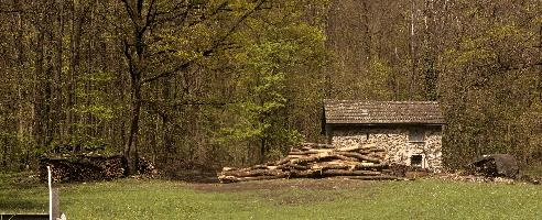 Barn and logs in Ticino, Switzerland, rustic, stone, building, barn, field, meadow, piled, italian, timber, ticino, lumber, switzerland, logs, europe, rural