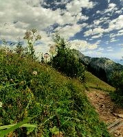 Appenzell, kasten, meadow, mountains, valley, rhine, hoher, alpine, appenzell, ridge, switzerland, alps