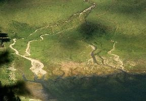 Appenzell, hoher, walking, delta, saemtisersee, stream, lake, appenzell, hiking, schweiz, pattern, kasten, water, abstract, aerial, ridge, channels, drainage, rivulets