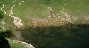Appenzell, saemtisersee, walking, channels, kasten, stream, hoher, appenzell, hiking, schweiz, pattern, lake, water, abstract, aerial, delta, ridge, drainage, rivulets