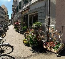 Florist in Konstanz, Germany, konstanz, shop, bodensee, deutschland, flower