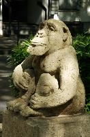 dsc_213207.jpg
