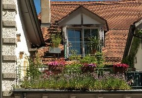 Balcony in Konstanz, konstanz, boxes, flowers, bodensee, deutschland, balcony