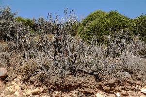 mantiuk_0057.jpg