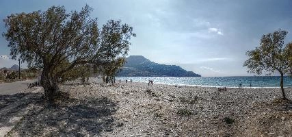 Beach in Kriti, kriti, island, sea, travel, summer, water, crete, mediterranean, view, europe, blue, greece, beach, sunshine, sunny, coast, holiday, horizon, trees, dry