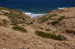 Beach in Kriti, null