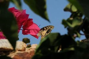 mantiuk_6866.jpg