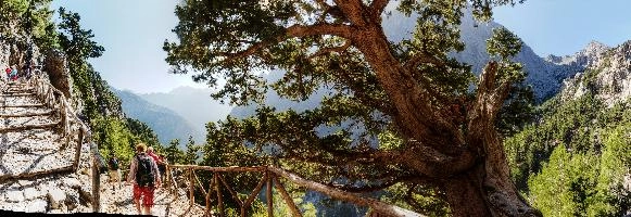 mantiuk_7087-mantiuk_7105.jpg