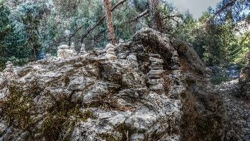 mantiuk_7209-mantiuk_7218.jpg