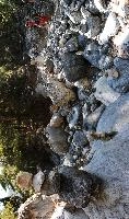 mantiuk_7335-mantiuk_7347.jpg
