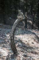 mantiuk_7353.jpg