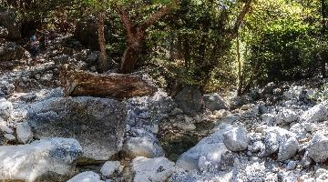 mantiuk_7380-mantiuk_7389.jpg