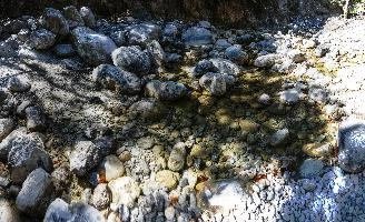 mantiuk_7560-mantiuk_7569.jpg