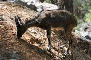 mantiuk_7670.jpg