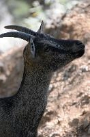 mantiuk_7673.jpg