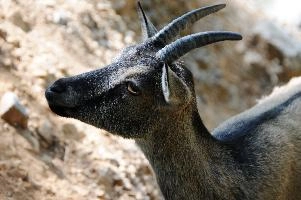 mantiuk_7677.jpg
