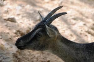 mantiuk_7682.jpg